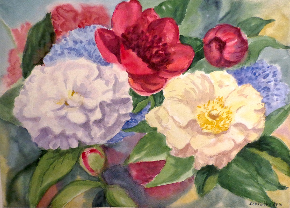 rote und cremefarbene Pfingstrosen, mit einer roten Knospe, gemalt mit Aquarellfarben im Jahr 2014