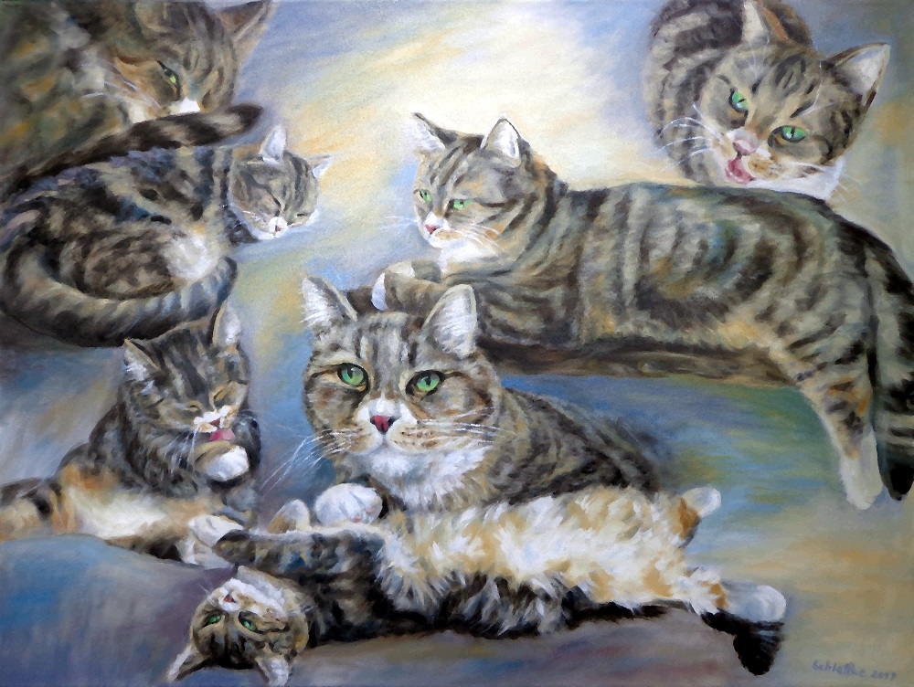Porträt einer getigerten Hauskatze mit weißem Schnäutzchen in 7 verschiedenen Situationen, gemalt in Öl im Jahr 2017