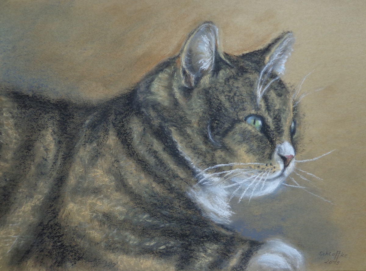 Seitenansicht des rechten Vorderkörpers einer getigerte Hauskatze, die aufmerksam mit spitzen Ohren nach halbrechts blickt; gemalt in Pastell im Jahr 2013