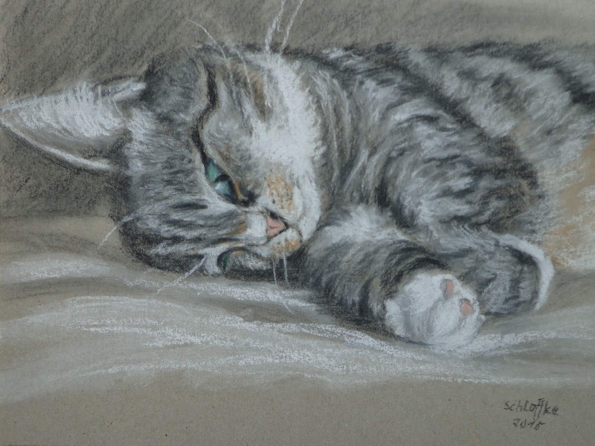 die getigerte Hauskatze Lilly liegt mit halbgeschlossenen Augen auf der rechten Seite; Kohlezeichnung mit Weißhöhung auf grauem Papier im Jahr 2015