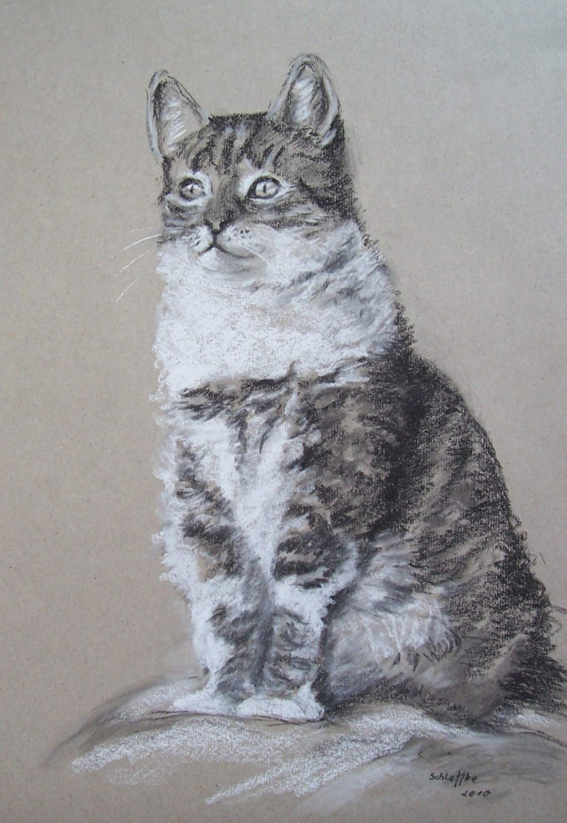 getigerte Hauskatze Nelly sitzend, gezeichnet mit Kohle im Jahr 2010